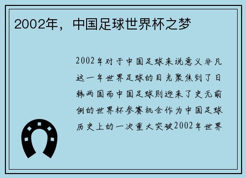 2002年，中国足球世界杯之梦